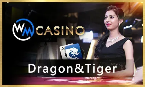 Sports Betting Online